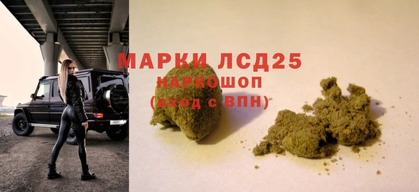 гидра Абаза