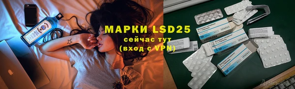 гидра Абаза
