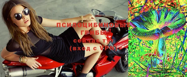 прущая мука Алзамай