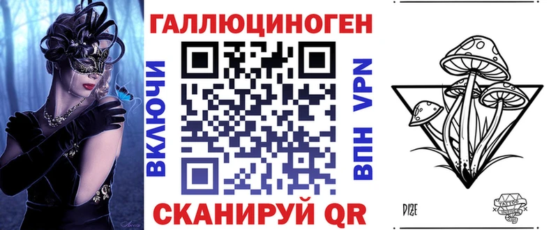 Галлюциногенные грибы Psilocybe  Новосибирск 